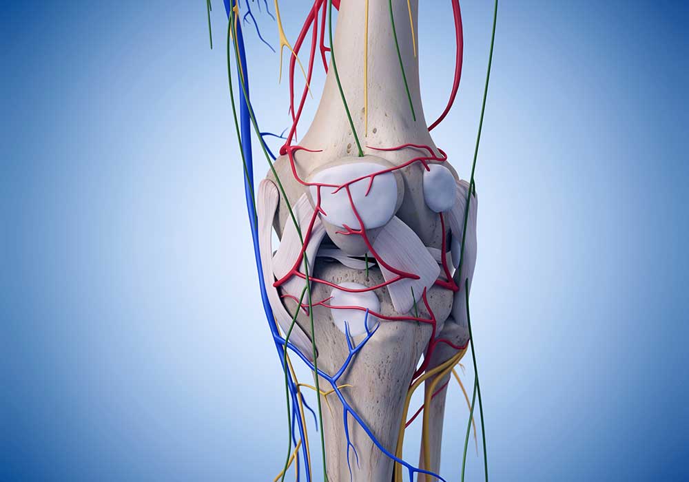 Genicular Block For Knee Joint